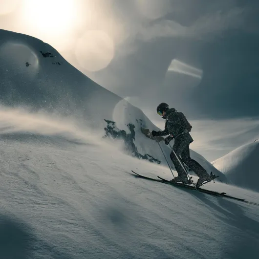 71nWXPMZRTL._AC_SL1500_