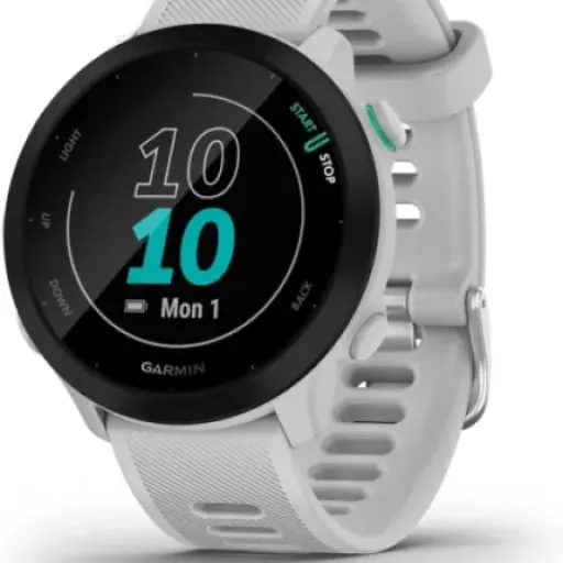 Garmin Forerunner 55 Review: a straightforward running watch that nails the basics